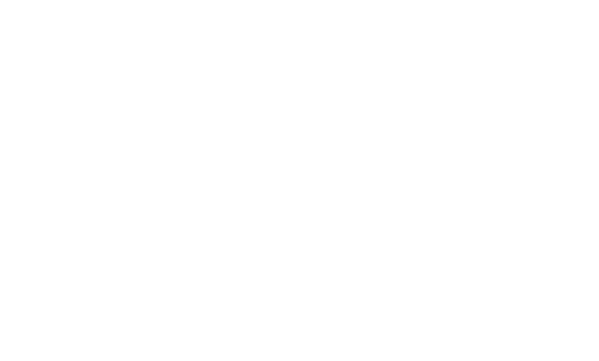 Psicopedagogía Genios